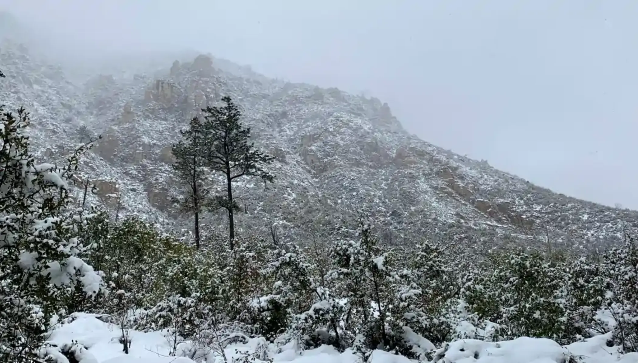 Snow falling on the rocks near West Fork in Oak Creek Canyon in March Snow capped rocks and trees at Junipine Resort in Sedona, Arizona