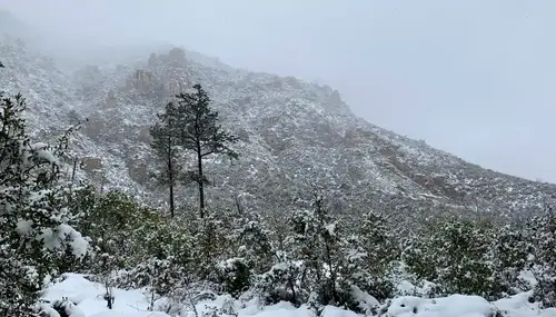 Snow capped rocks and trees at Junipine Resort in Sedona, Arizona