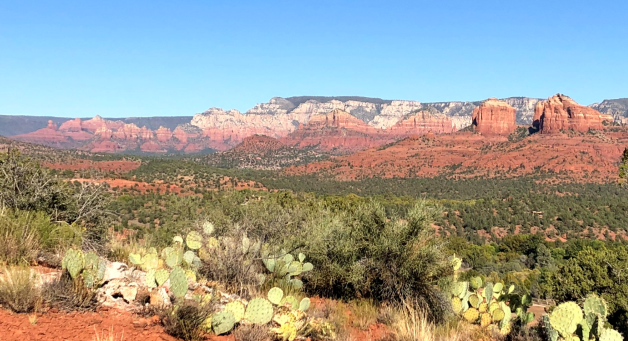Arizona has so much to offer that it's like a cornucopia for the senses.
A true oasis in the desert! Don't believe me? Take a look!